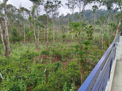 Sm Gardens Luxury Homestay in Kodaikanal, India