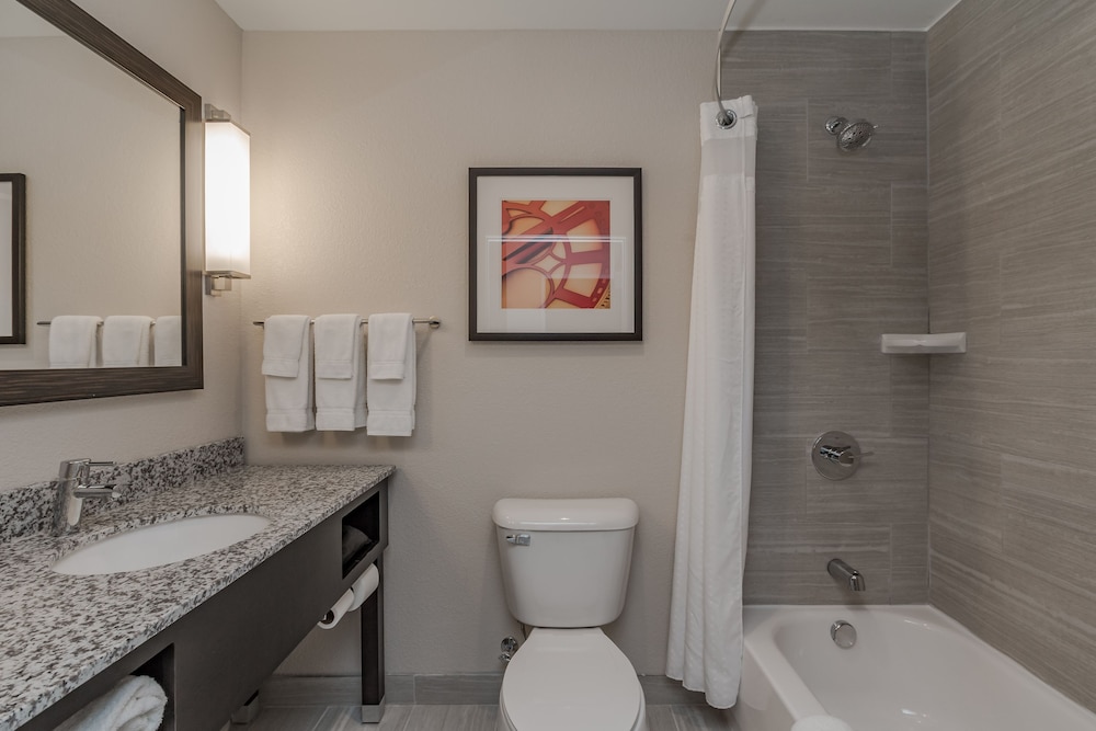 Holiday Inn Mishawaka by IHG - photo 21