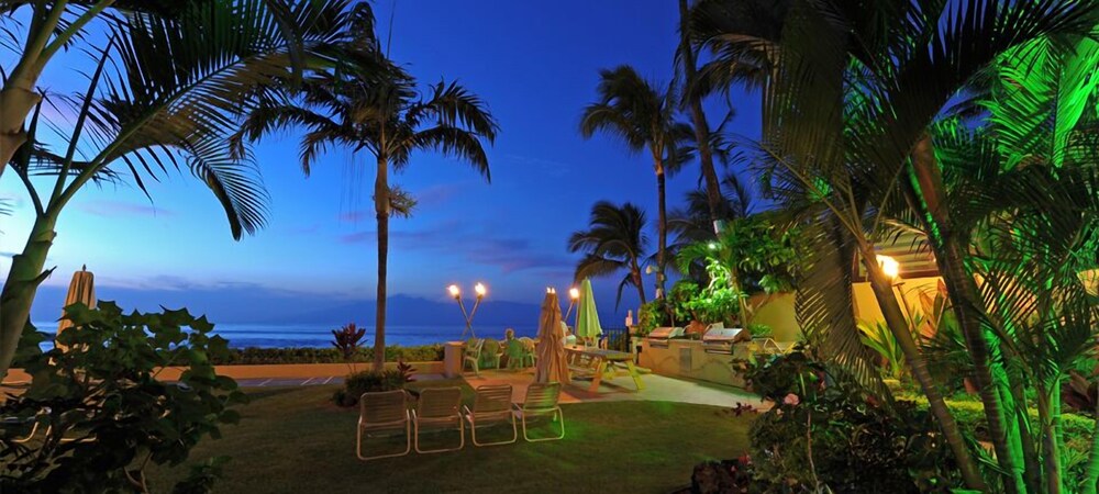 Hale Napili - photo 25