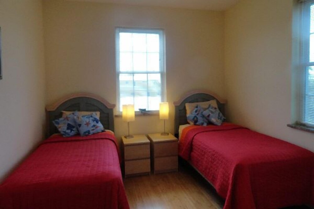 Sand Dollar - photo 4