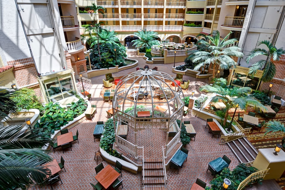 Embassy Suites by Hilton Orlando North - photo 51