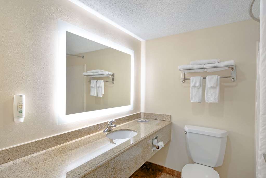 Quality Inn Valley West Point - photo 18