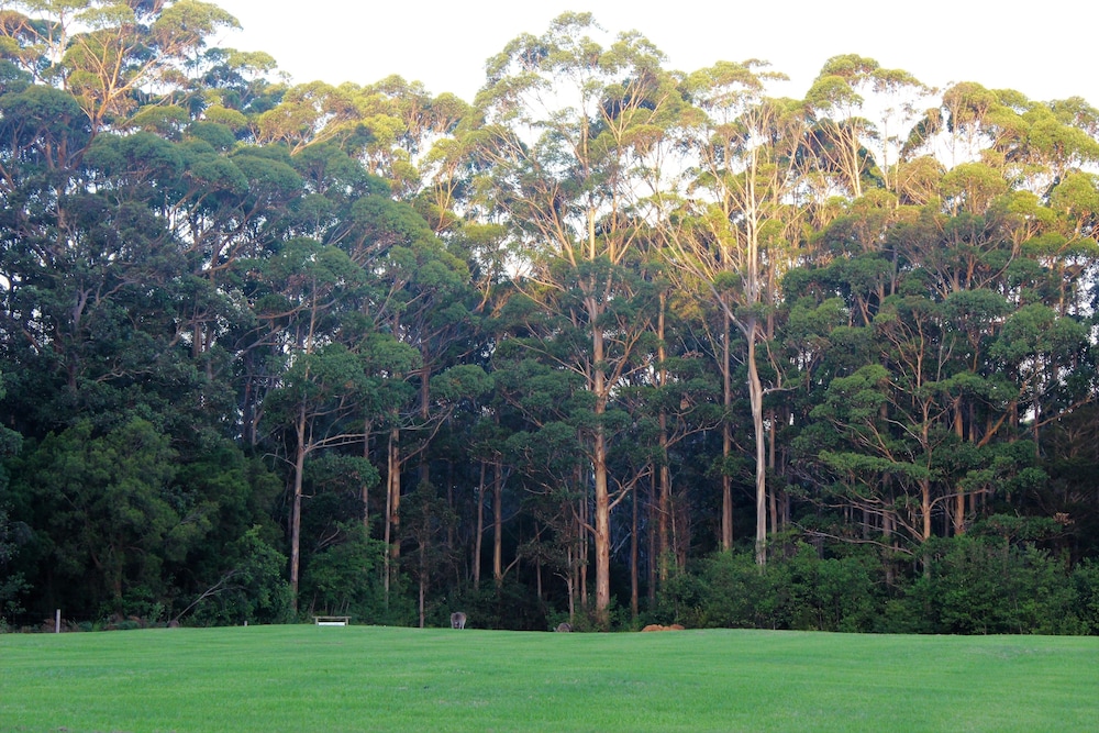 Tinglewood Cabins — 4-Star Luxury Hotel in Busselton, Australia