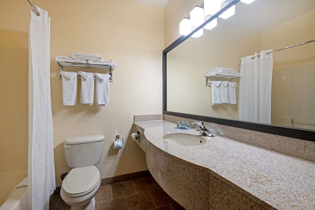 Best Western Laramie Inn & Suites - photo 24