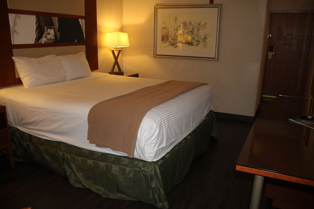 Sunrise Inn Hotel - photo 20