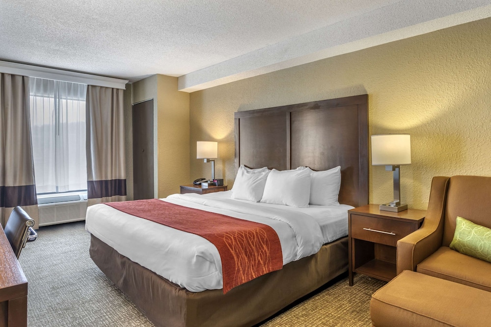 Comfort Inn Kingsport Southeast - photo 12