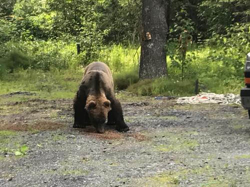 Resurrection River Rentals — 4-Star Luxury Hotel in Seward, United States