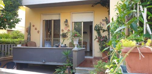 Verahouse — Viareggio — photo 5
