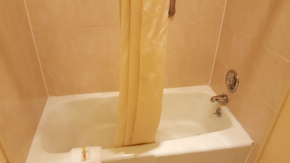 Econo Lodge Busch Gardens - photo 48