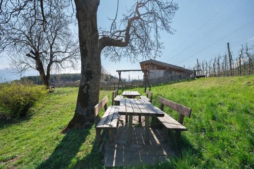 Regalterhof Eppan — San Paolo — photo 4