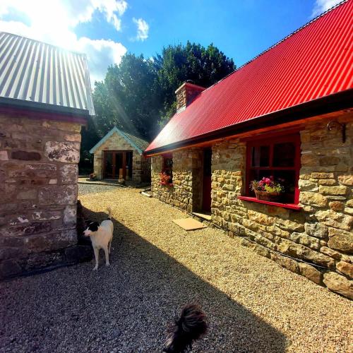Caitríona’s Cottages Adult Only Pet Friendly Hot Tub Sauna Pool Sleeps 4 in Unknown City, Republic of Ireland