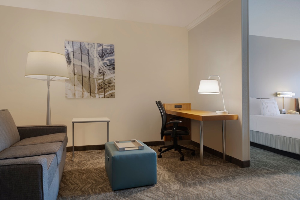 SpringHill Suites by Marriott Newark Liberty International - photo 9