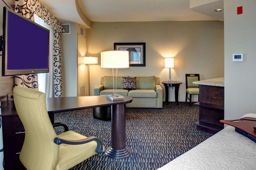 Hampton Inn & Suites Baton Rouge Downtown - photo 14