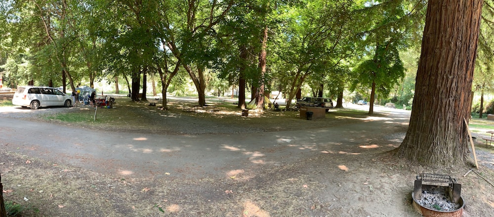 Dean Creek Resort - photo 38