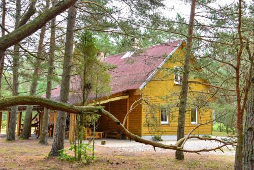 Kempings Videnieki in Ventspils, Latvia