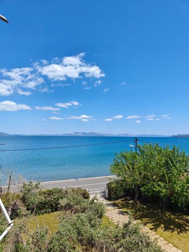 Thanos’ seaside apartment — Oropos — photo 2