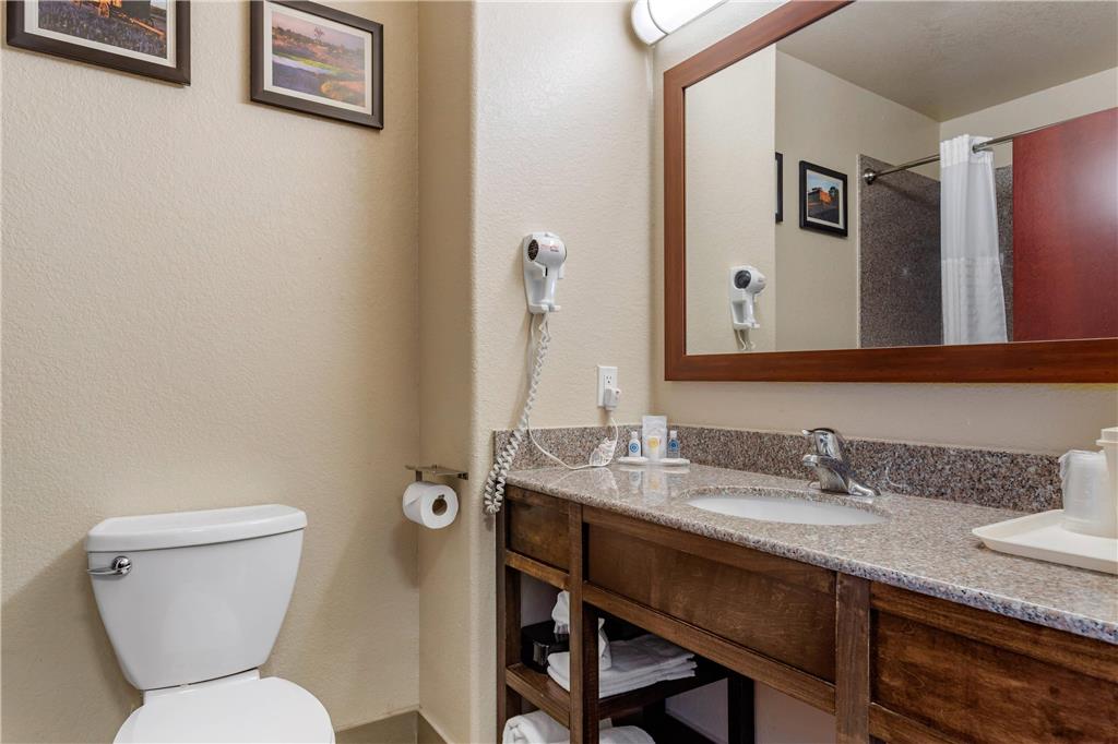 Comfort Inn & Suites Navasota - photo 13