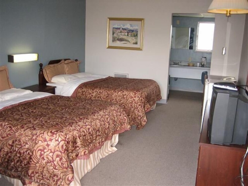 Tecumseh Inn Motel - photo 3