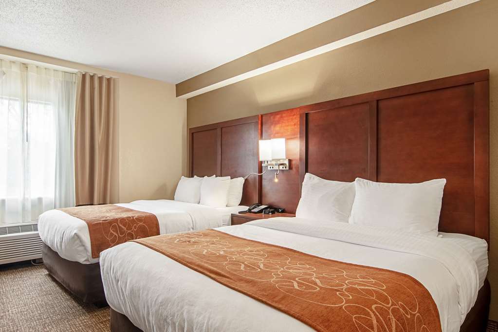 Comfort Suites Knoxville Airport - photo 23