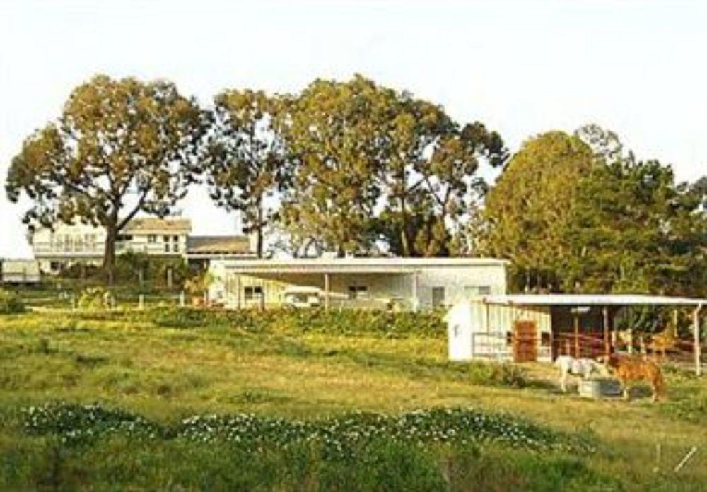 Centaur Health Resort And Spa - photo 2
