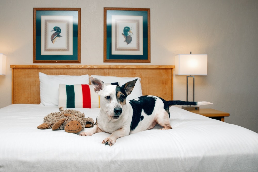Timbers Motel - photo 7