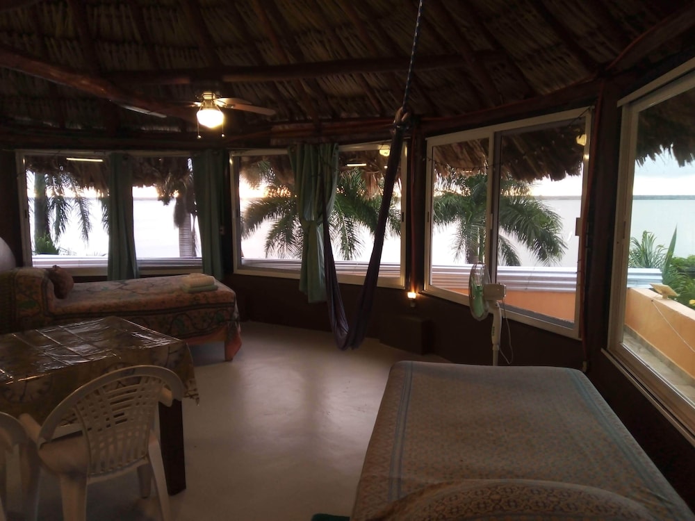 Agave Blue Bacalar — Bacalar — photo 5
