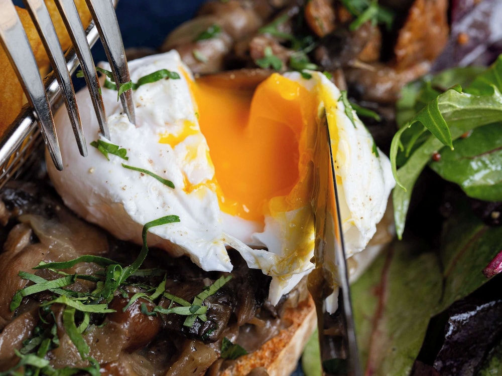 מראה חיצוני