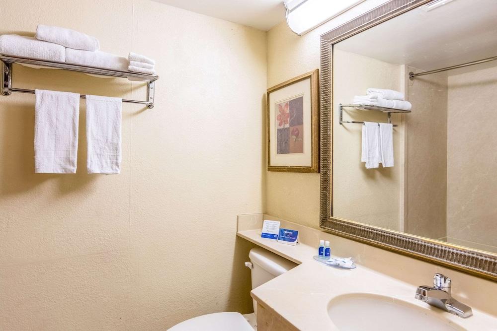 Rodeway Inn Central Richmond VA - photo 16