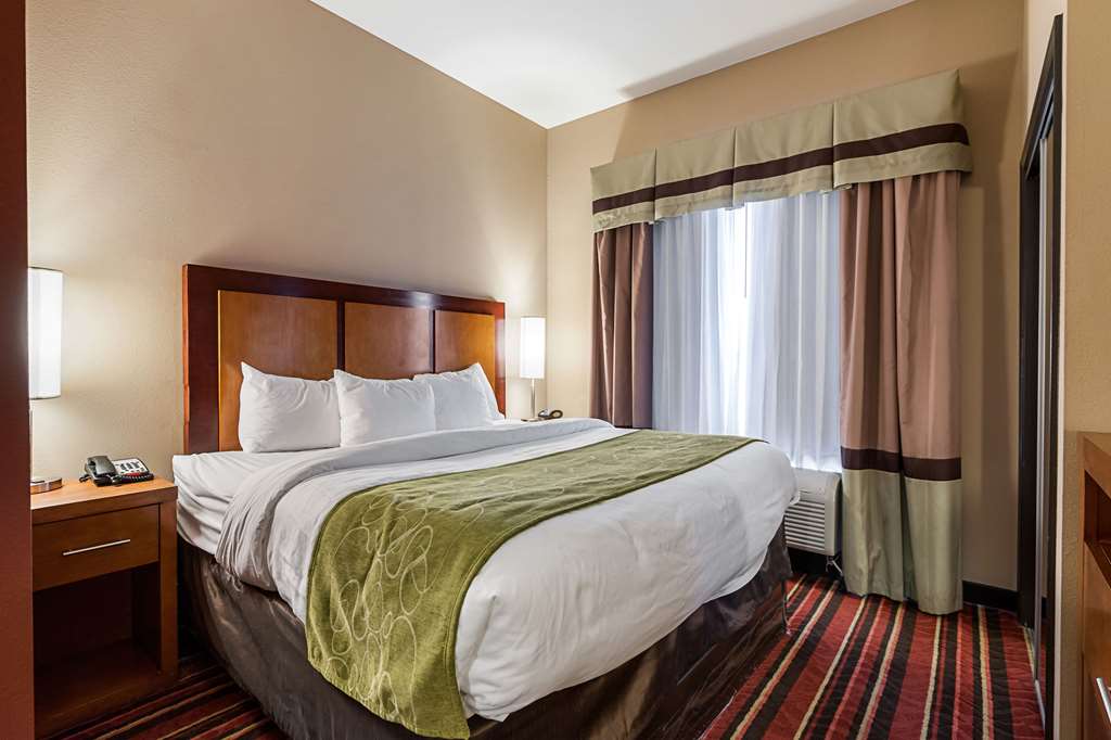 Comfort Suites Sulphur Lake Charles - photo 22