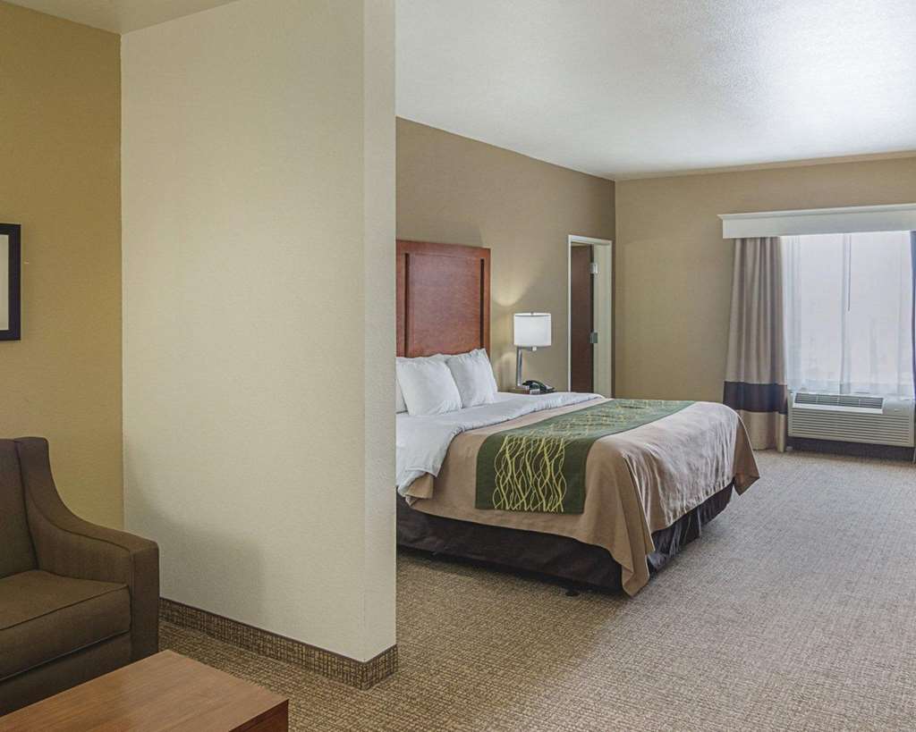 Comfort Inn Midland South I 20 - photo 25