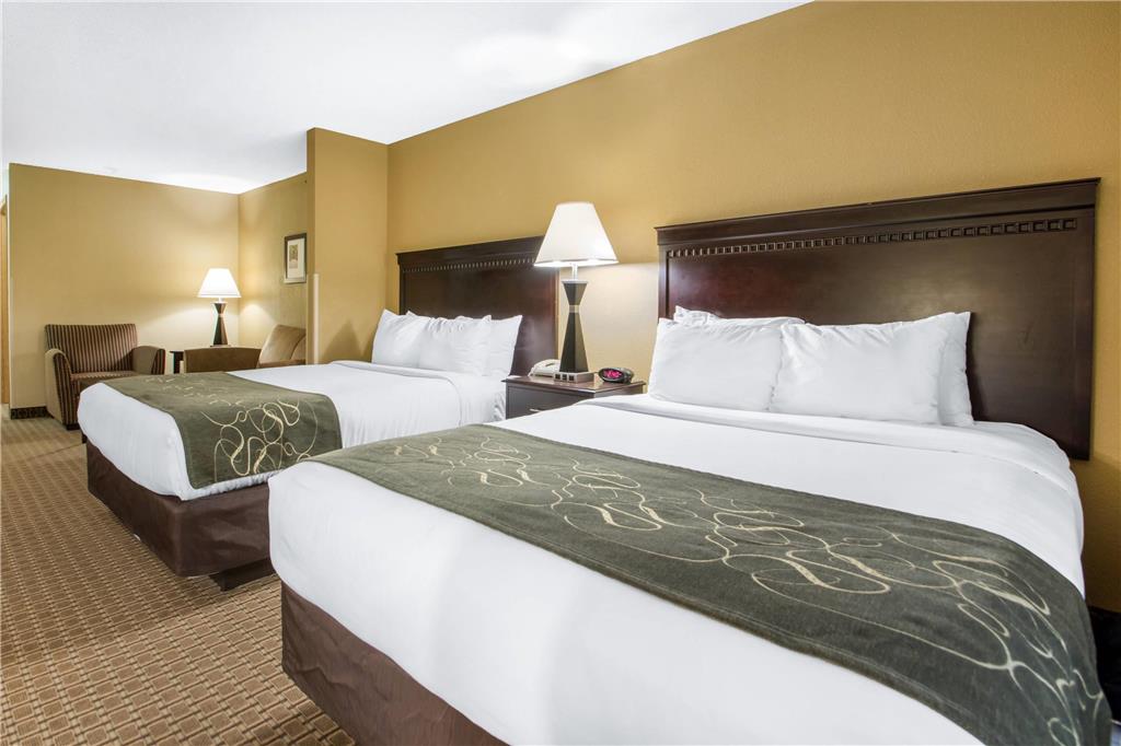 Comfort Suites Wisconsin Dells Area - photo 39