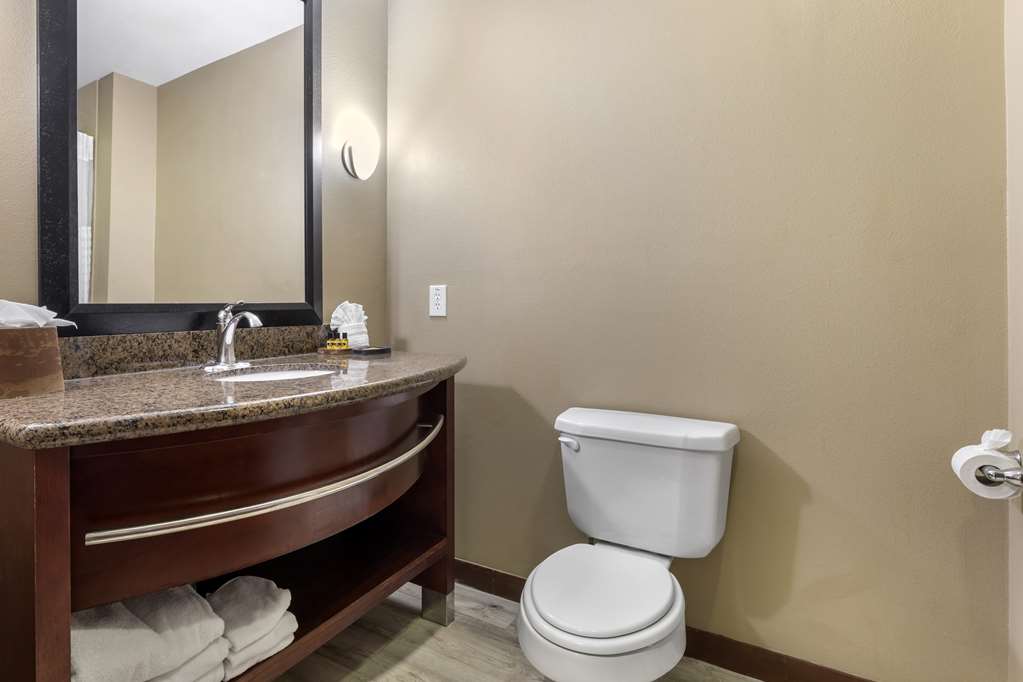Best Western Plus Texoma Hotel & Suites - photo 13