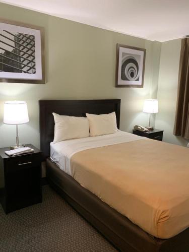 Quality Inn Jamaica - photo 4