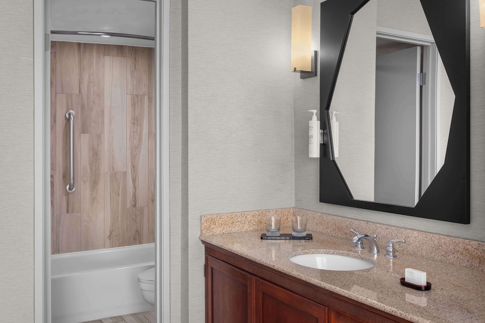Embassy Suites by Hilton El Paso - photo 43