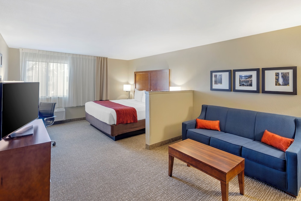 Comfort Inn & Suites Rocklin Roseville - photo 10