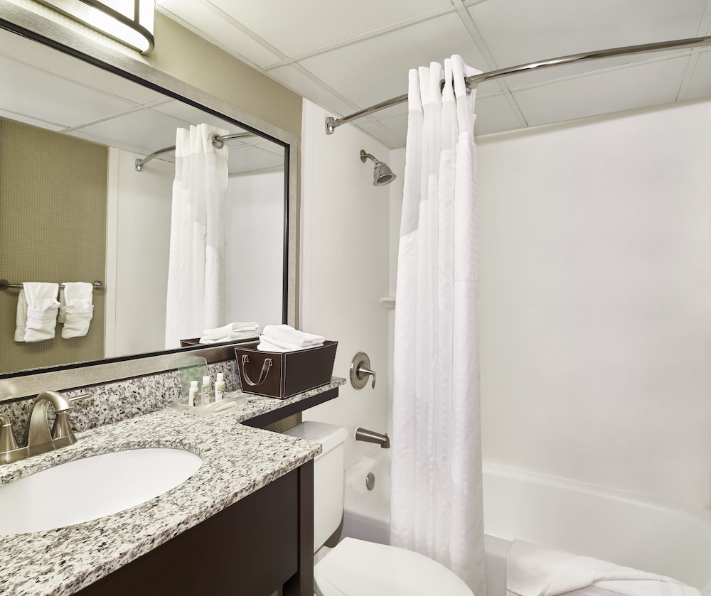 Holiday Inn Alexandria at Carlyle by IHG - photo 20