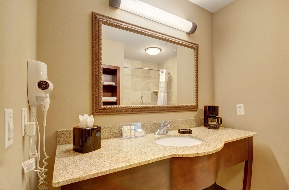 Hampton Inn & Suites Alexandria - photo 21