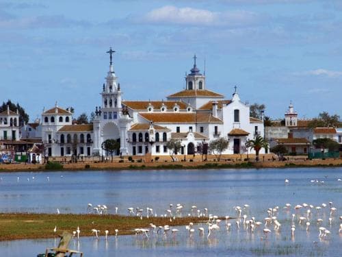 Ginva Apartahotel El Rocio Donana — Almonte
