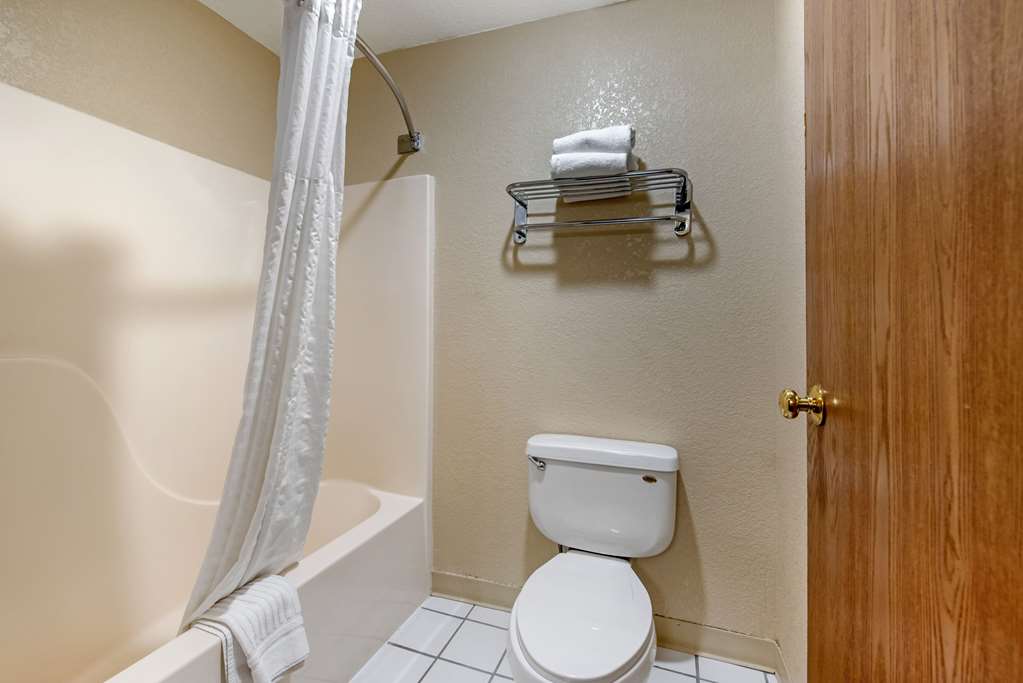 Comfort Inn Denver Southeast Area - photo 7