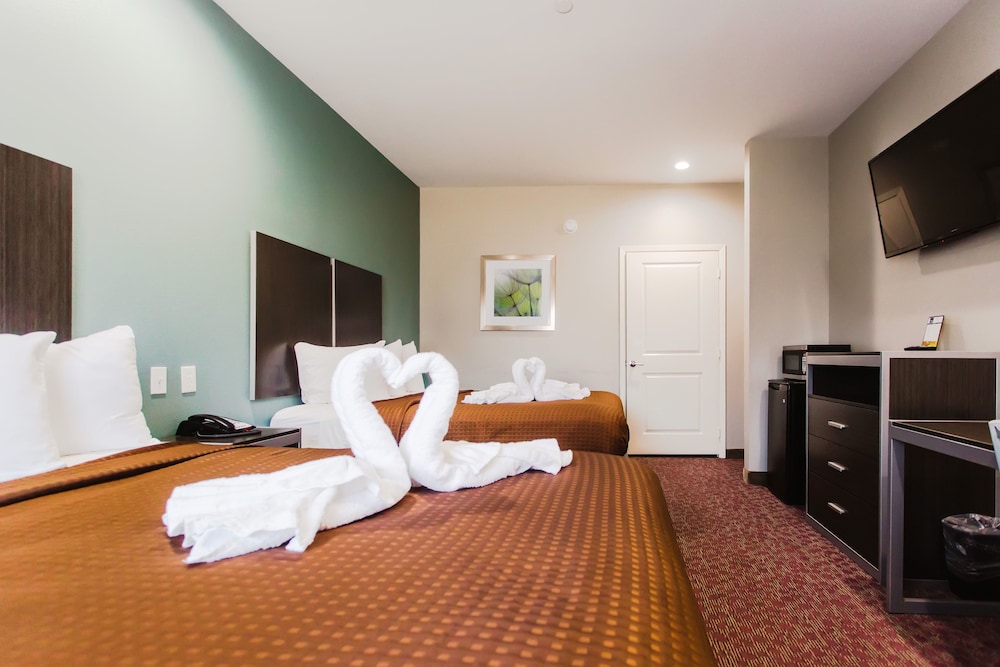 Express Inn Spring - photo 15