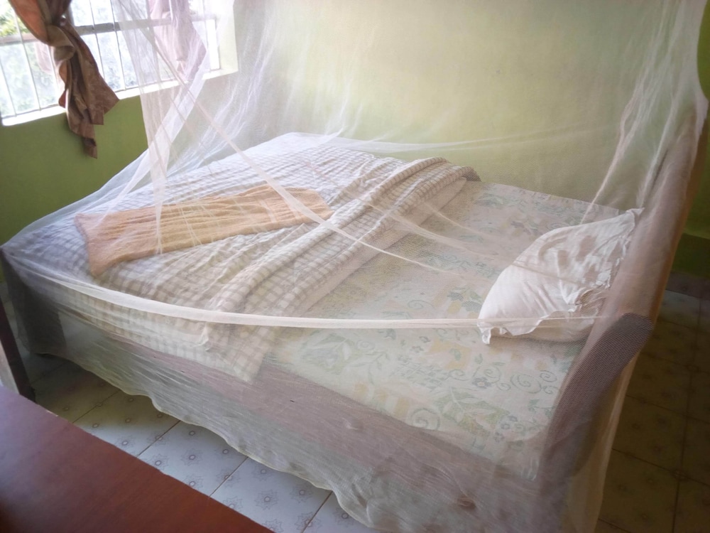 Green Guest House — Wote — photo 2