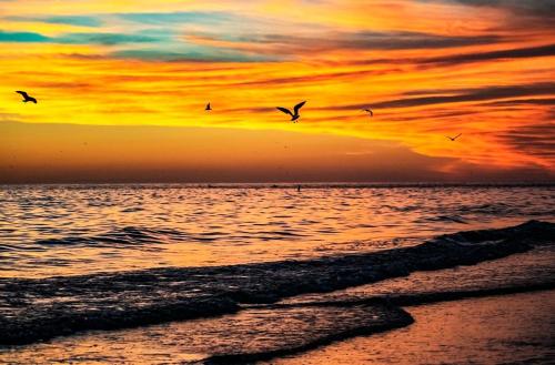Crescent Royale Condominiums 115 — 4-Star Luxury Hotel in Siesta Key, United States