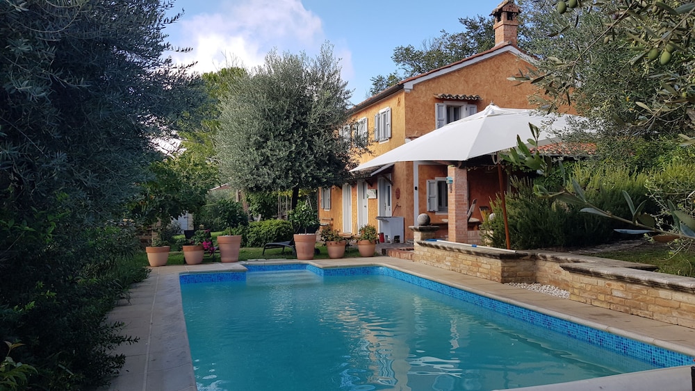 Home set in Olive Grove With Stunning Views — 4-Star Luxury Hotel in Mondavio, Italy