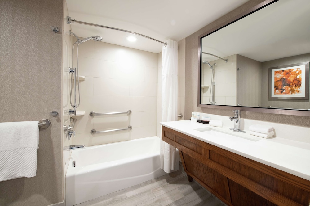 Embassy Suites by Hilton Colorado Springs - photo 47