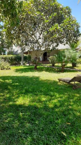 Les Datchi Cottages — Unknown City — photo 2