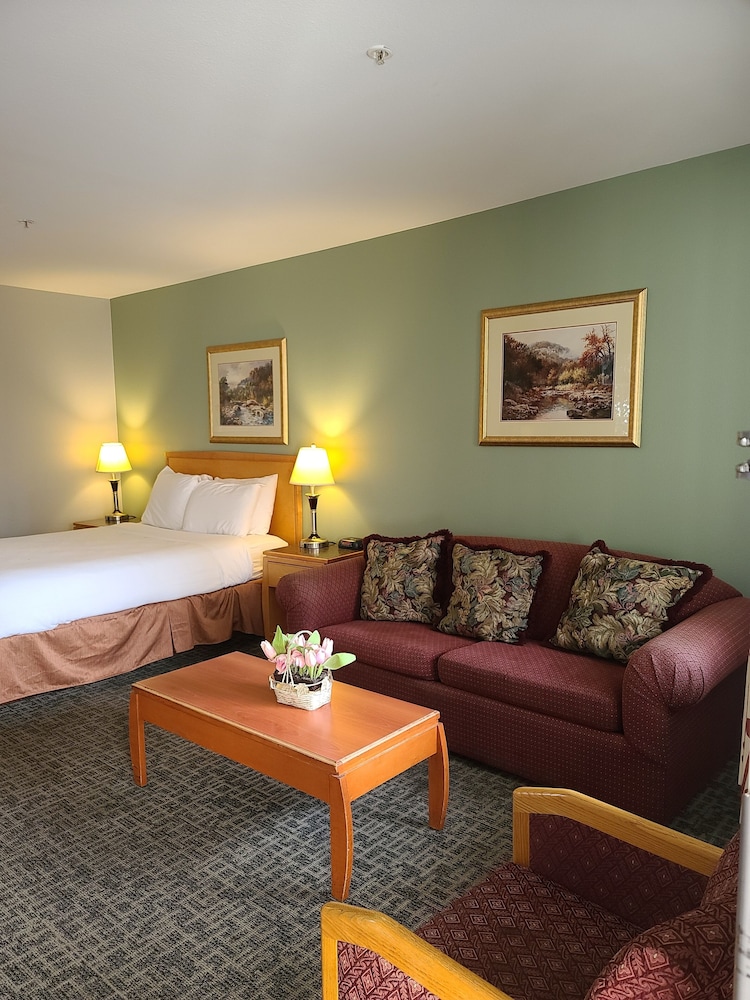 Tulip Inn - photo 28