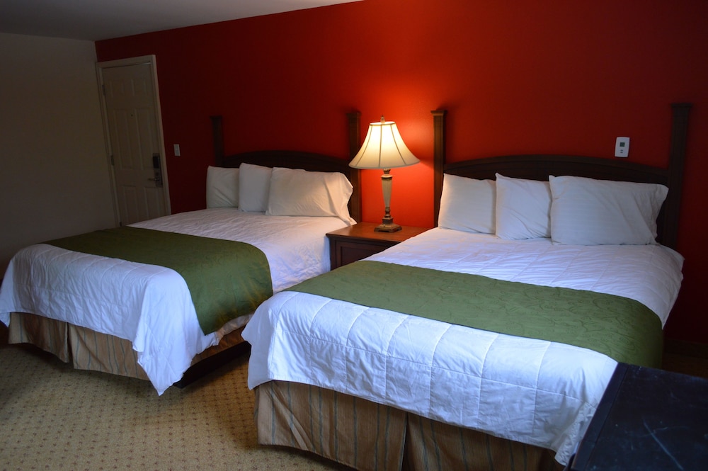Monnie Lynn Motel - photo 4
