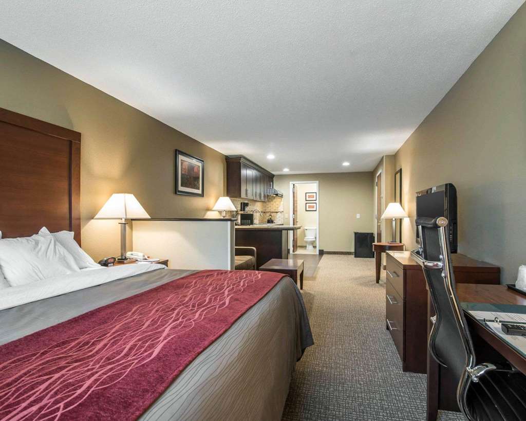 Comfort Inn Saugerties - photo 25