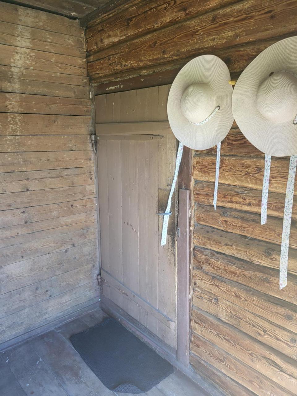 Šimtametis namelis in Anyksciai, Lithuania