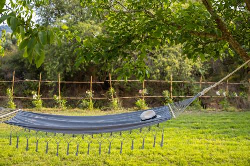 Agapanthus Retreat in Unknown City, Greece